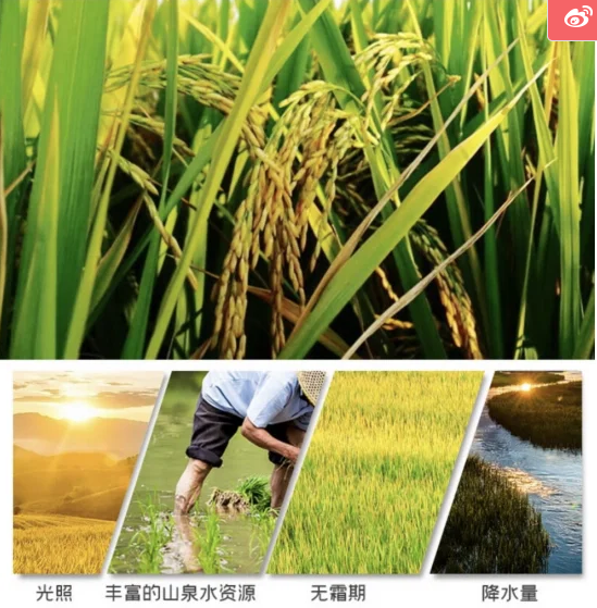 QQ截圖20220729155542.png